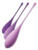 Conjunto de Treinamento Kegel FFH