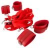 Kit Fantasia para Amantes do FFSLE - Image 2