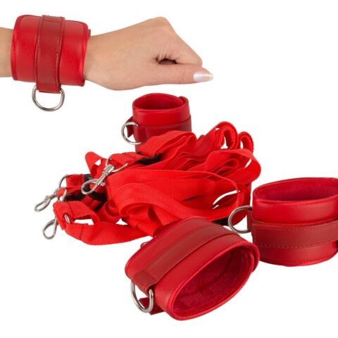 Kit Fantasia para Amantes do FFSLE